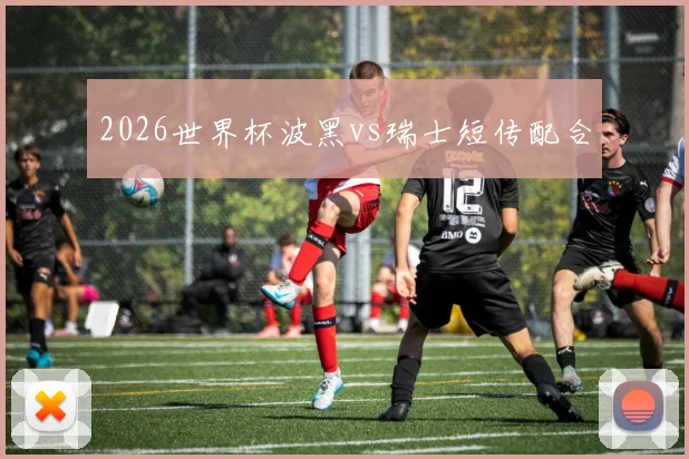 2026世界杯波黑vs瑞士短传配合